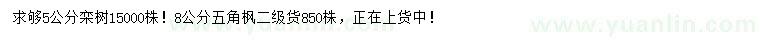 求購5公分欒樹、8公分五角楓