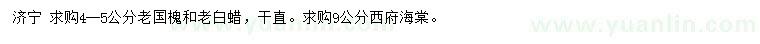 求購老國槐、老白蠟、西府海棠