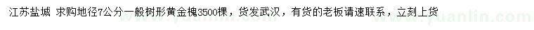 求購地徑7公分黃金槐