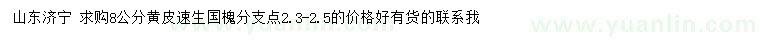 求購8公分黃皮速生國槐