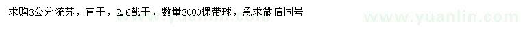 求購3公分流蘇
