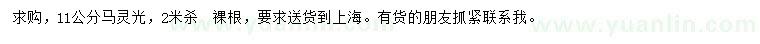 求購11公分馬靈光