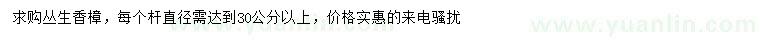 求購(gòu)叢生香樟