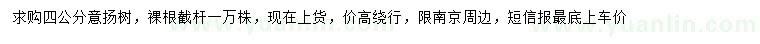 求購4公分意楊樹