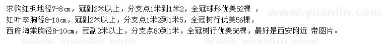 求購紅楓、紅葉李、西府海棠