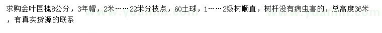求購8公分金葉國槐