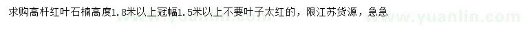求購(gòu)高1.8米以上高桿紅葉石楠