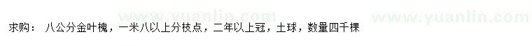 求購(gòu)8公分金葉槐