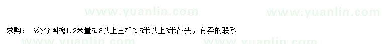 求購1.2米量5.8公分以上國槐