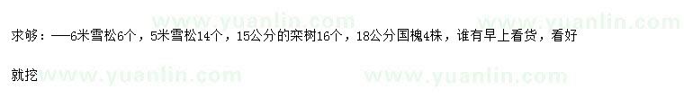 求購(gòu)雪松、欒樹(shù)、國(guó)槐