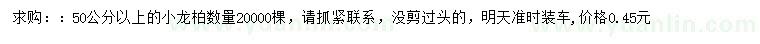 求購50公分以上小龍柏