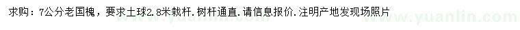 求購7公分老國槐