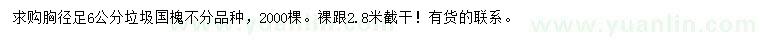 求購胸徑足6公分垃圾國槐