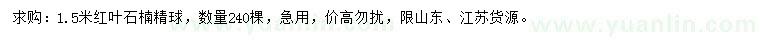 求購1.5米紅葉石楠球