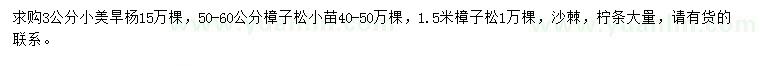 求購小美旱楊、樟子松、沙棘等