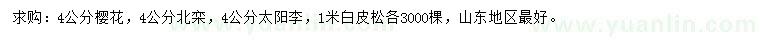 求購櫻花、北欒、太陽李等