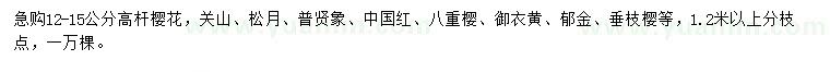 求購12-15公分高桿櫻花