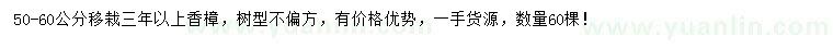 求購(gòu)50-60公分香樟