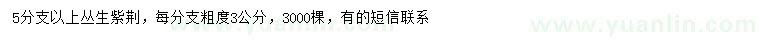 求購5分支以上叢生紫荊