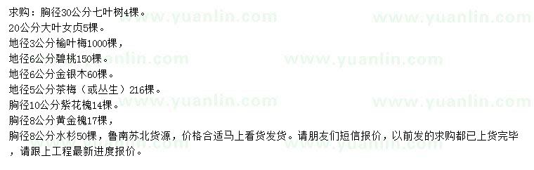 求購七葉樹、大葉女貞、榆葉梅等