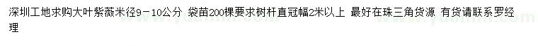 求購米徑9-10公分大葉紫薇