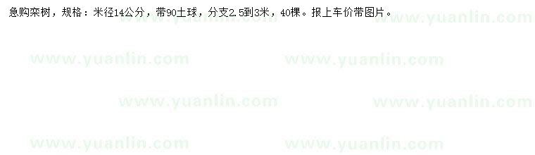 求購米徑14公分欒樹