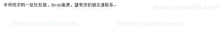 求購高50-60公分杜松苗