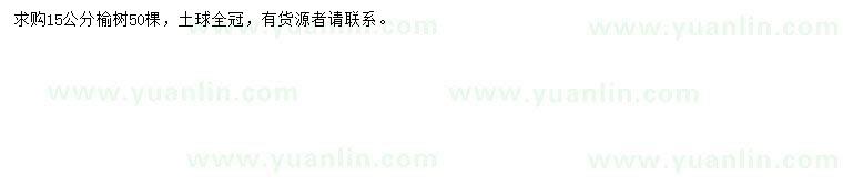 求購15公分榆樹