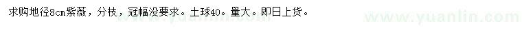 求購(gòu)地徑8公分紫薇