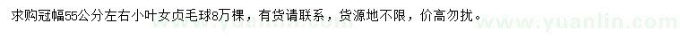 求購(gòu)冠幅55公分左右小葉女貞毛球