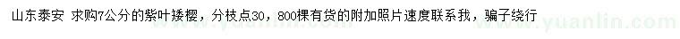 求購(gòu)7公分紫葉矮櫻
