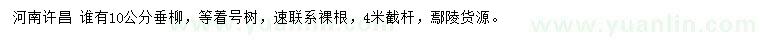 求購10公分垂柳