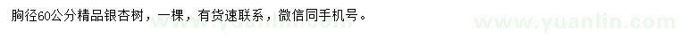 求購胸徑60公分銀杏