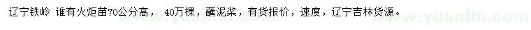 求購(gòu)高70公分火炬苗