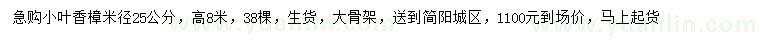 求購米徑25公分小葉香樟