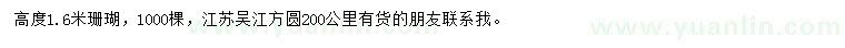求購高1.6米珊瑚樹
