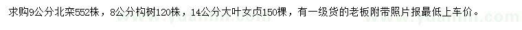 求購北欒、構(gòu)樹、大葉女貞