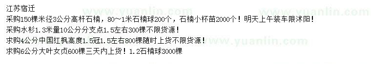 求購高桿石楠、石楠球、石楠小杯苗等