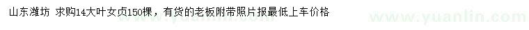 求購14公分大葉女貞