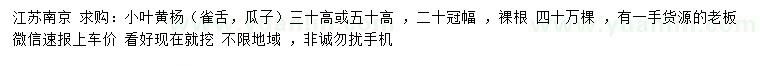 求購(gòu)高30、50公分小葉黃楊（雀舌、瓜子）