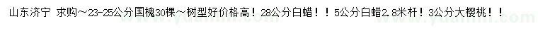 求購(gòu)國(guó)槐、白蠟、大櫻桃