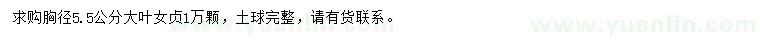 求購胸徑5.5公分大葉女貞