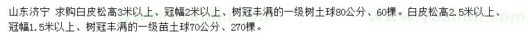 求購(gòu)高2.5、3米以上白皮松