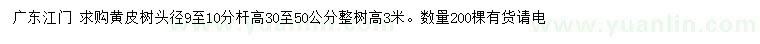 求購(gòu)頭徑9-10公分黃皮樹
