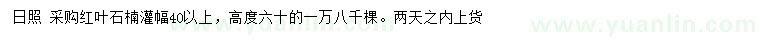 求購(gòu)冠幅40公分以上紅葉石楠
