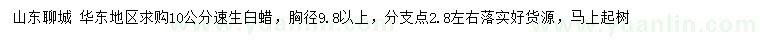 求購10公分速生白蠟