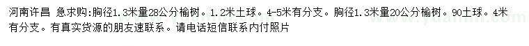 求購胸徑1.3米量20、28公分榆樹