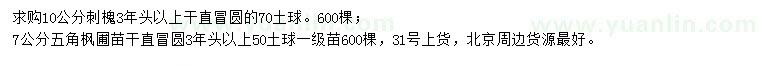 求購10公分刺槐、7公分五角楓
