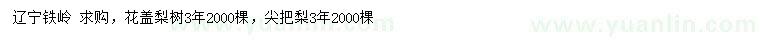 求購3年花蓋梨樹、尖把梨