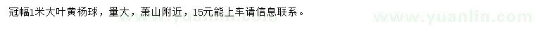 求購冠幅1米大葉黃楊球